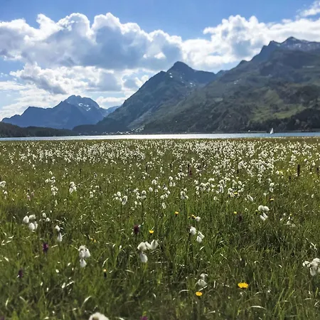 Cad Mate 1 By Interhome Maloja