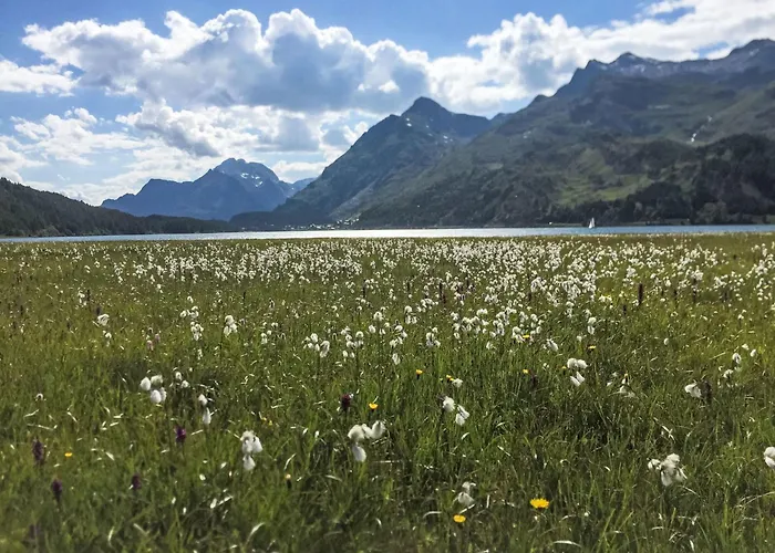 Cad Mate 1 By Interhome Maloja